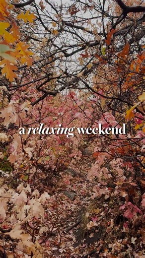 Take a 30 second break from the scroll for relaxing sights and sounds of @wasatchmountainstatepark You may know Wasatch for mountain biking, archery and ATVing, but that’s only half the story! Check out the hiking trails, sauna @wasatchmountainsauna, fishing and golfing on your next trip for something more relaxing before the snow hits. What’s your favorite thing to do at Wasatch State Park? | Utah Division of State Parks