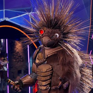 1.6M views · 8K reactions | Robopine surprised the panel with some information about himself. | The Masked Singer | Facebook