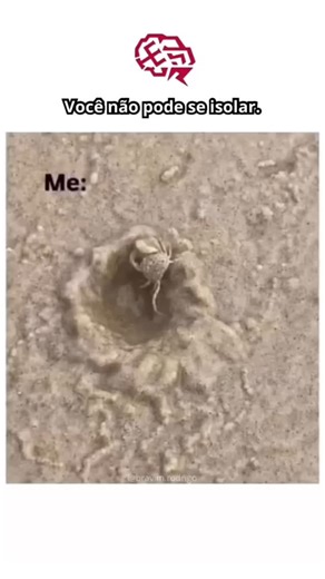 Ansiedade & Saúde Mental on Instagram: "“Você não pode se isolar.” Mas ninguém fala sobre quando o isolamento é a única forma que a mente encontra pra não quebrar. Assim como essa aranha, muita gente cria sua própria “casa” emocional — se afasta, sorri pouco, fala menos… e sofre em silêncio. O problema é que ficar sozinho demais não cura a ansiedade. Só faz ela crescer por dentro. Eu criei um e-book simples, direto e humano pra quem sente ansiedade, medo, cansaço emocional e não sabe mais por on