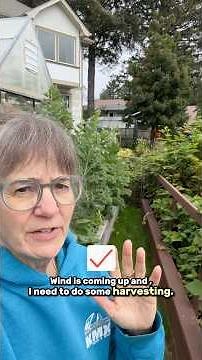 How to Harvest Kale and Keep Eating Leaves for Weeks 🌱