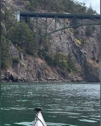 Whidbey Island Pearl Co. | We love that there have been more orca sightings around Whidbey Island this year. Here’s an amazing video of orcas passing by kayakers in... | Instagram