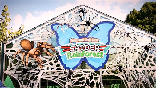 🎃 Go Trick-or-Treating at the San Antonio Zoo during ZOO BOO!🍬 👻 See what else is new this year for the Halloween season 🎟️ MORE DETAILS- https://www.ksat.com/news/local/2025/09/04/halloween-festivities-will-return-to-san-antonio-zoo-as-part-of-annual-zoo-boo-celebration/?utm_source=facebook&utm_medium=social&utm_campaign=snd&utm_content=ksat12 | KSAT 12 & KSAT.com