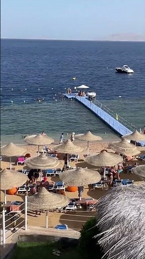 A GORGEOUS hotel with a GORGEOUS reef! #egypt #sultangardens #vacation #2026 #sharm