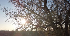 Video by Yue Song on Pexels