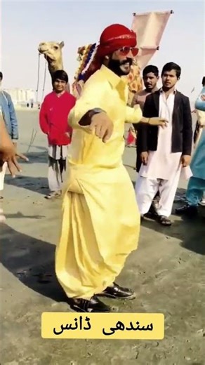 sindhi dance | sindhi cultural dance performance