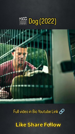 186K views · 803 reactions | Dog (2022) follows the emotional and...