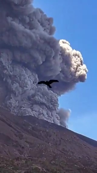 Need a status report from all myNew Japanese Twitter friends. Are we good? We need updates.