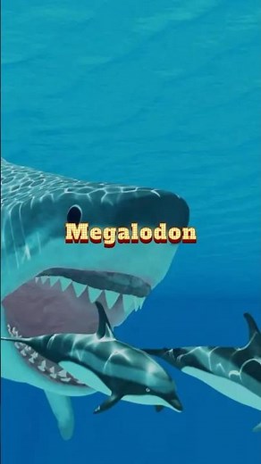 Megalodon | The Ocean Largest Predator