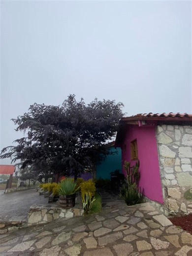 Este Diciembre explora la magia oculta en nuestras cabañas ...