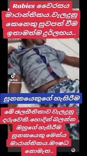 Rabies Patient's Behavior Highlights