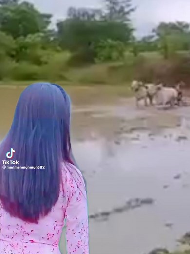 မြို့ကမခင်နှောင်းရယ်ကွယ်... | Myanmar Audio Songs