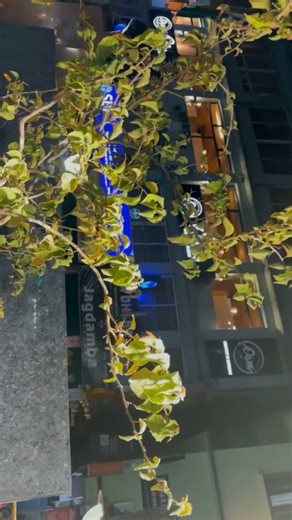 Gangtok Sikkim 📍#sikkim #explore #peace #travel #gangtok