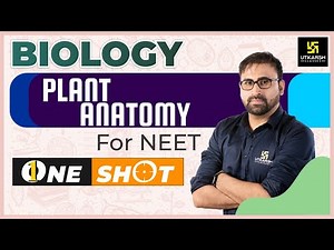 Plant Anatomy in One Shot | Biology | Neet 2023 | Pratham Nahata Sir
