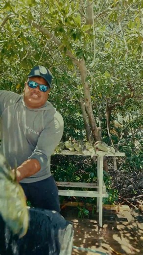 3K views · 76 reactions | Meet Niels — the heart behind Fish Charter...