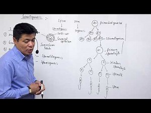 Class 12 Zoology devlopmental biology