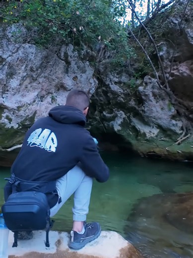 🐟 Belle prise en rivière sauvage ! 🌲 #Peche #Poisson #Riviere #Nature #fishinglife