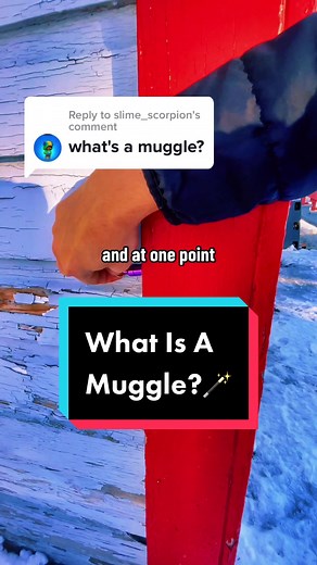 Understanding Muggles in Geocaching: A Beginner's Guide