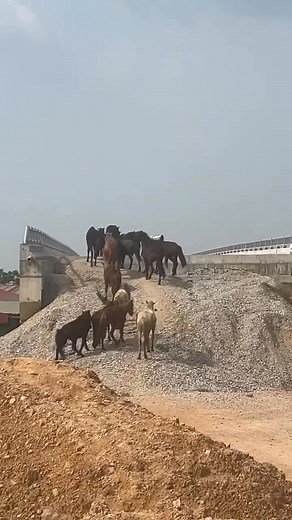 2.2K views · 21 reactions | thất bại rùi | Tien Nguyen | Facebook