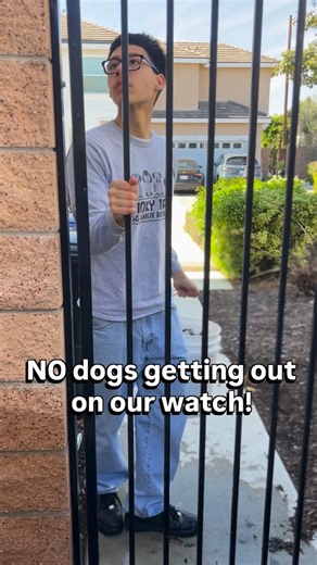 Stinky Tails, LLC on Instagram: "Yes, you hired us to scoop the poop but you also hired us to make sure the gates are locked NO dogs getting out on our watch! . . . . . . . . . . . . . . . . . #stinkytails #poopscooping #pooperscooper #professionalpooperscooper #dogwasteremoval"