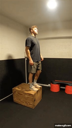 Box Drop-and-Freeze on Make a GIF