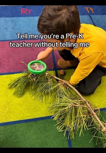 Here’s to my first Tiktok 🤗 Can you tell we’re learning about trees? 🌲🌳 Saw this pine tree branch outside my house and just knew I had to bring it in the classroom ☺️ #preschool #preschoolteacher #nycdoe #bronx #newyork #firsttiktokever