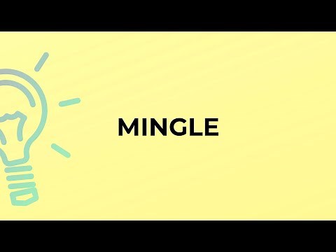 What is the meaning of the word MINGLE?