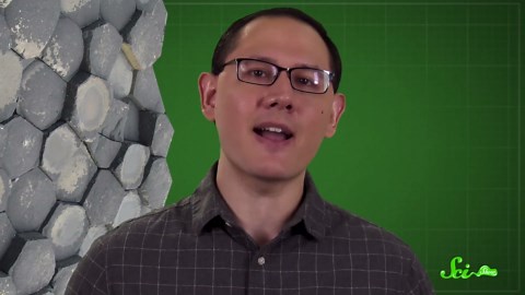 The Link Between Zebra Stripes and Sand Dunes | Natural Patterns