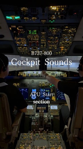 テクノバード✈西日本唯一の本格フライトシミュレーター施設 | APU Start （Auxiliary Power Unit／補助動力装置） #飛行機 #パイロット #テクノバード #神戸フライトシミュレーター #神戸 #空港 #boeing #b737 #cockpit #sounds #asmr #aviationlovers | Instagram