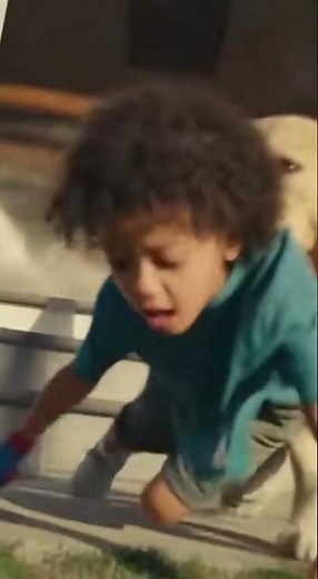 Hero Dog Saves Boy from Collapsing House 😱 | Incredible Rescue Caught on Camera #jhoanduran