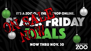 2.6K views · 22 reactions | Black Friday deals are already here! Jump...