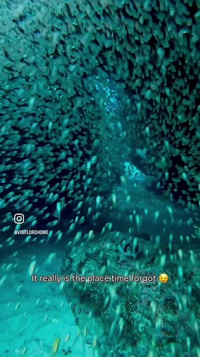 Explore Lord Howe Island: Nature's Hidden Paradise