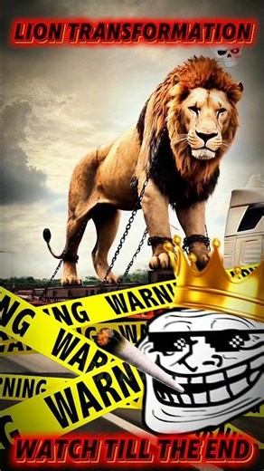 Lion Transformation