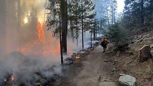 Arizona wildfires that burned in 2024 across the state