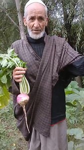 327K views · 1.9K reactions | #fblifestyle National Mission on Natural Farming Salute to this farmer Shri Gh. Mohammad Dar from Chewdara Agriculture Zone Beerwah. | Agriculture Activities | Facebook