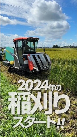 2024年の稲刈りスタート！
