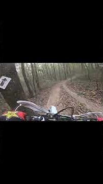 Dirt Bike Trail: Following Marked Path Through the Woods #shorts