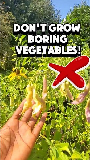 5 Unusual Vegetables You Should Grow in Your Garden!