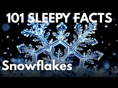The Most Relaxing Facts About Snowflakes To Fall Asleep To