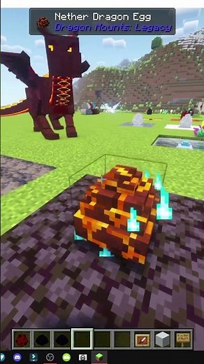 COME OTTENERE IL DRAGO DEL NETHER IN DRAGON MOUNTS LEGACY