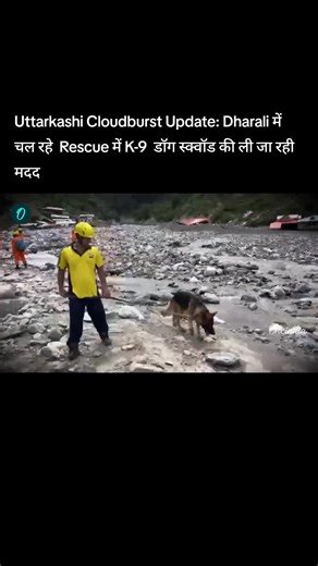One World News on TikTok