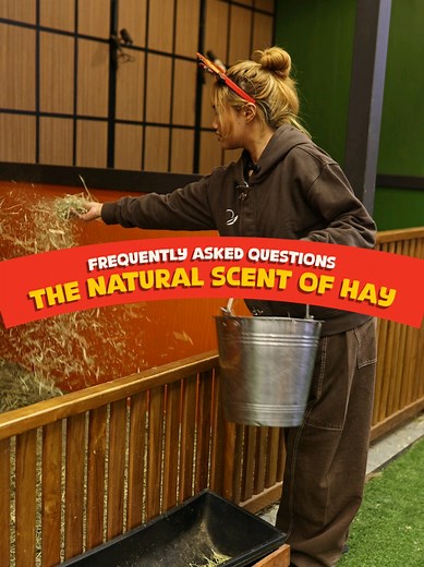 Experience Hay Aroma at Animal.inc Cafe
