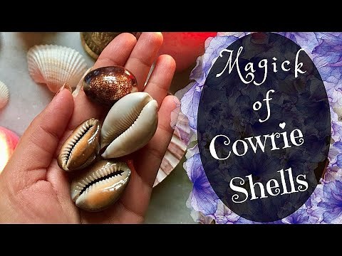 The Secret Spiritual Powers Of Cowries... how to use Cowries to Attract, Money, Love, Favour
