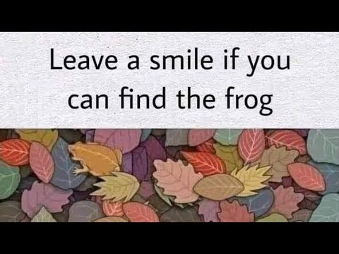 IQ Test: Find the Hidden frog