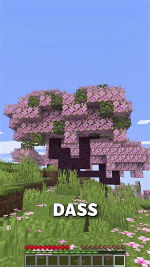 Hast DU die Drei FEHLER erkannt? 👀 (Teil 202) #minecraft #shorts #quiz