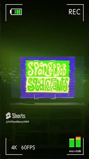 SpongeBob theme song (VHS)