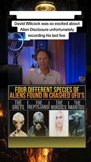 David Wilcock on the 4 different Alien species