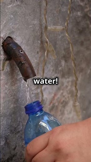 3 URBAN SURVIVAL SKILLS THAT CAN SAVE YOUR LIFE IN A BIG CITY DISASTER