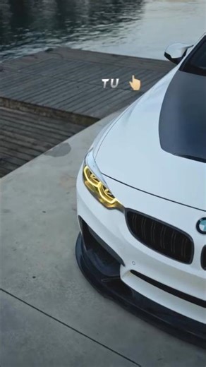 Bmw X Cheques #music #shubh #edit #punjabisinger