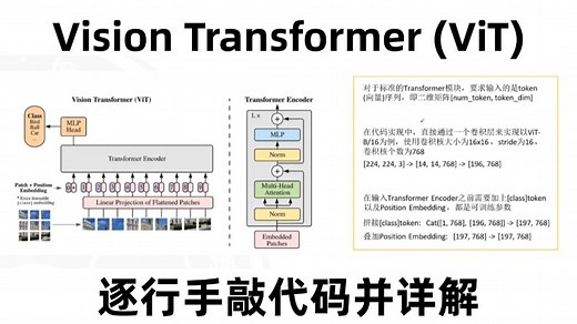 逐行手敲代码并详解Vision Transformer（ViT）