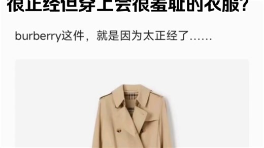 有哪些看起来很正经但穿上会很羞耻的衣服？